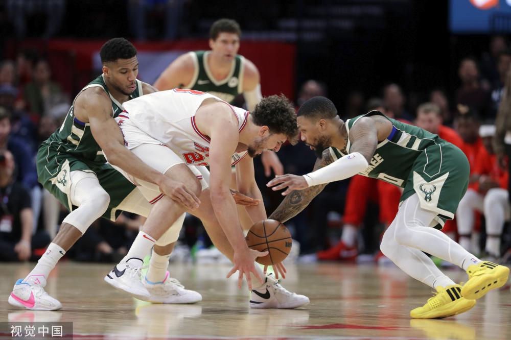 的常青树 的常青树